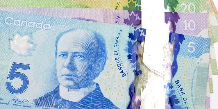 Die Kanadische Währung: Der Canadian Dollar
