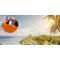aktion-premium-money-back