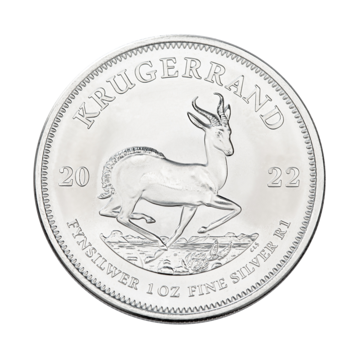 1 oz Krügerrand Silbermünze
