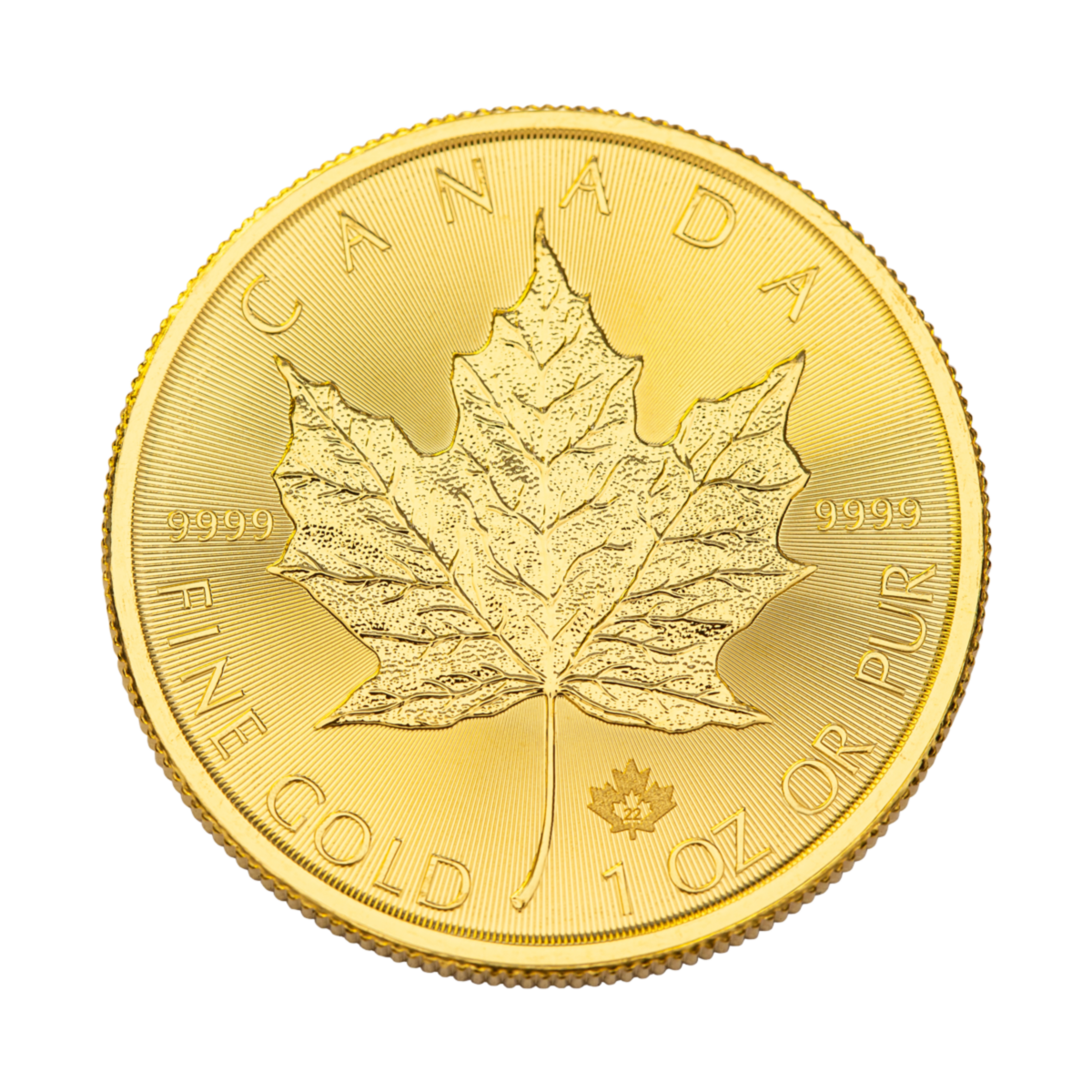 1 oz Maple Leaf Goldmünze